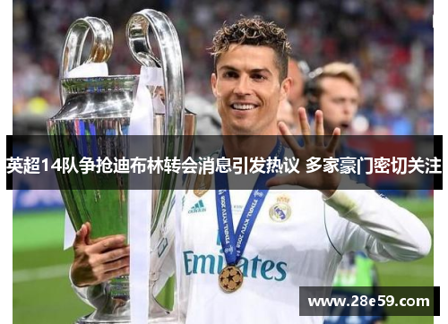 英超14队争抢迪布林转会消息引发热议 多家豪门密切关注